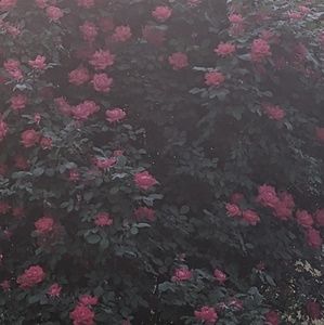 Meet your Posher, Ricky